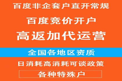百度推广运营成功案例：行业领先企业的秘诀